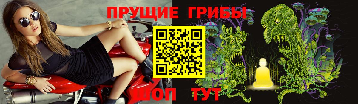 Нальчик  Псилоцибиновые грибы Magic Shrooms  где продают   Вход с VPN 